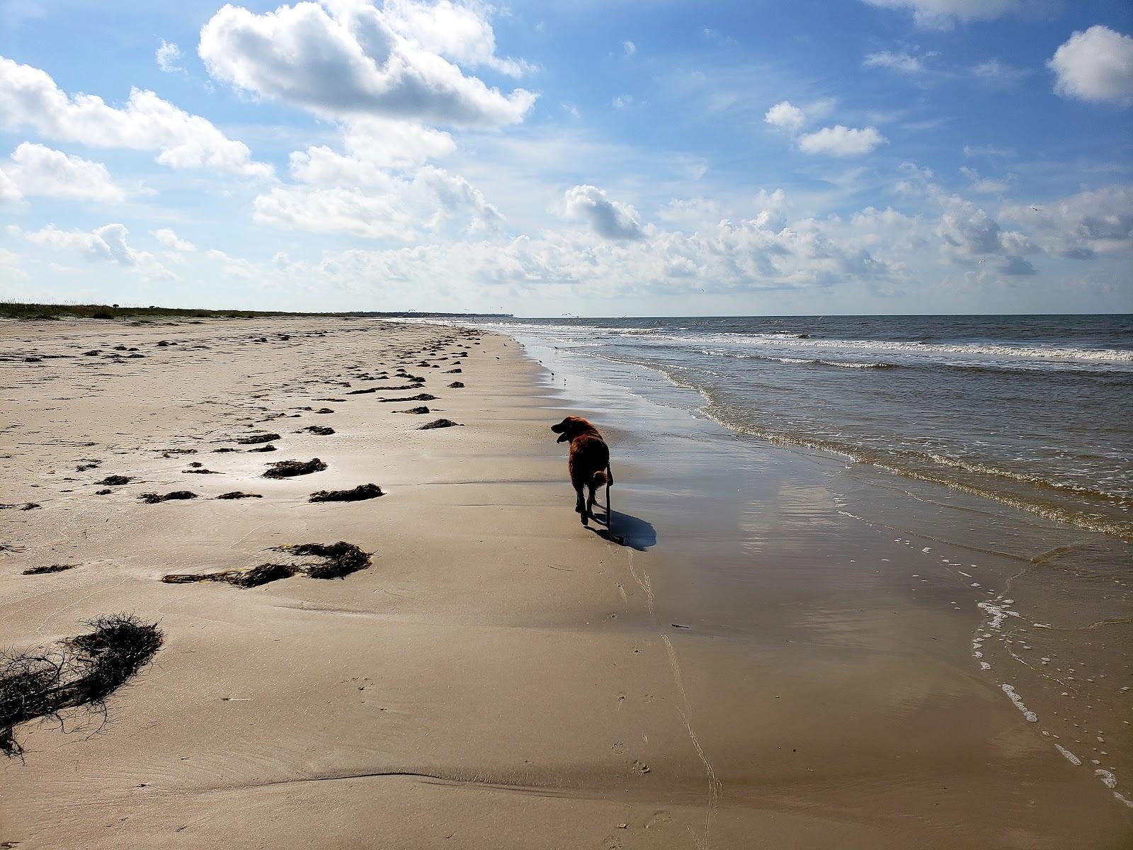 Sandee Cape St. George Island State Reserve Photo