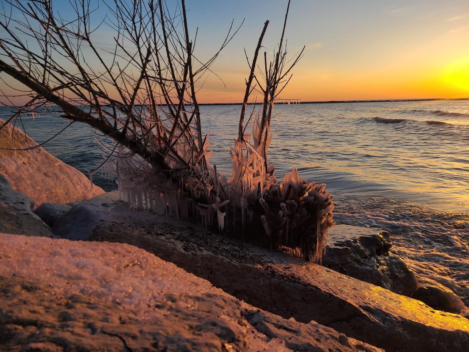 Sandee Carre - Hogle Park Photo