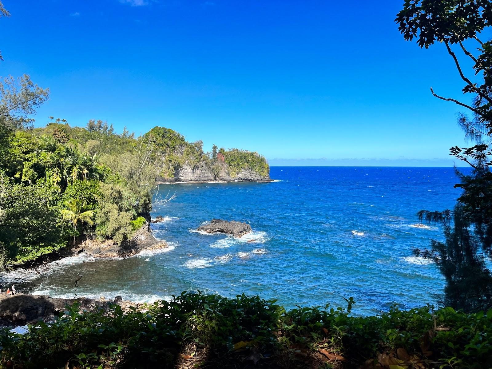 Sandee - Onomea Bay Beach