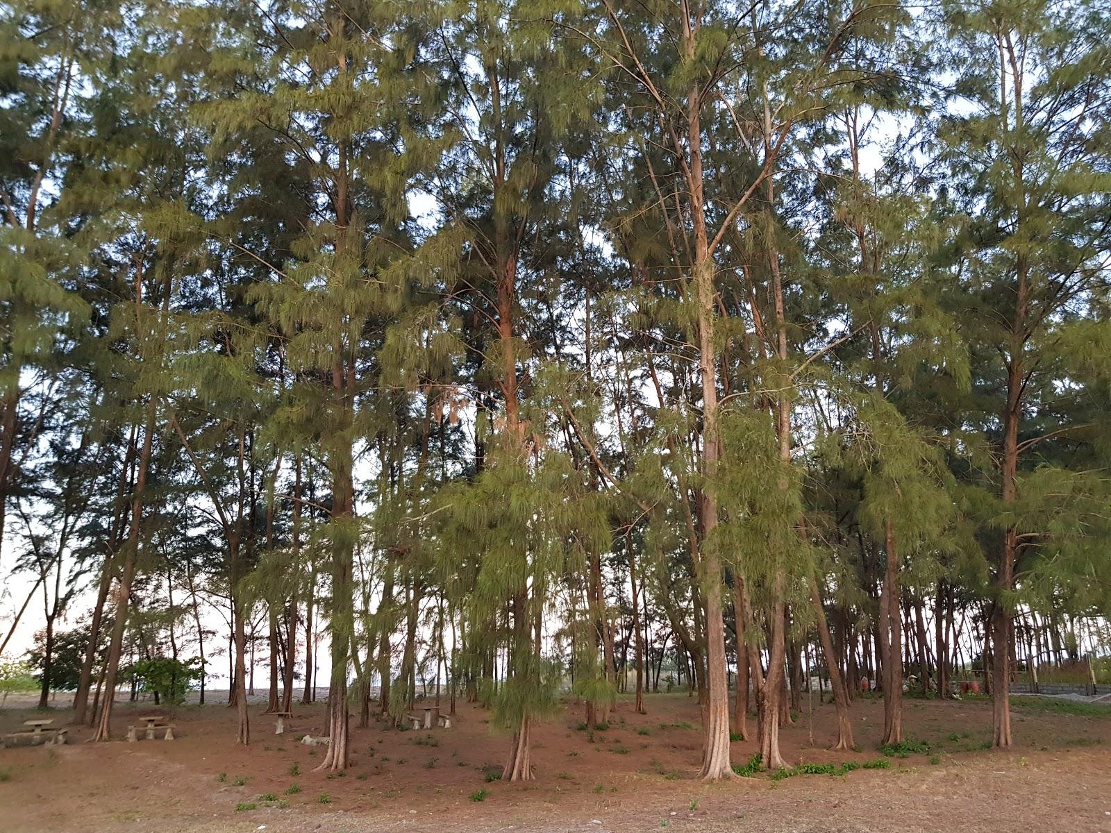 Sandee Zamba Beach Villa