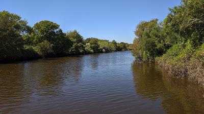 Sandee - San Bernard National Wildlife Refuge