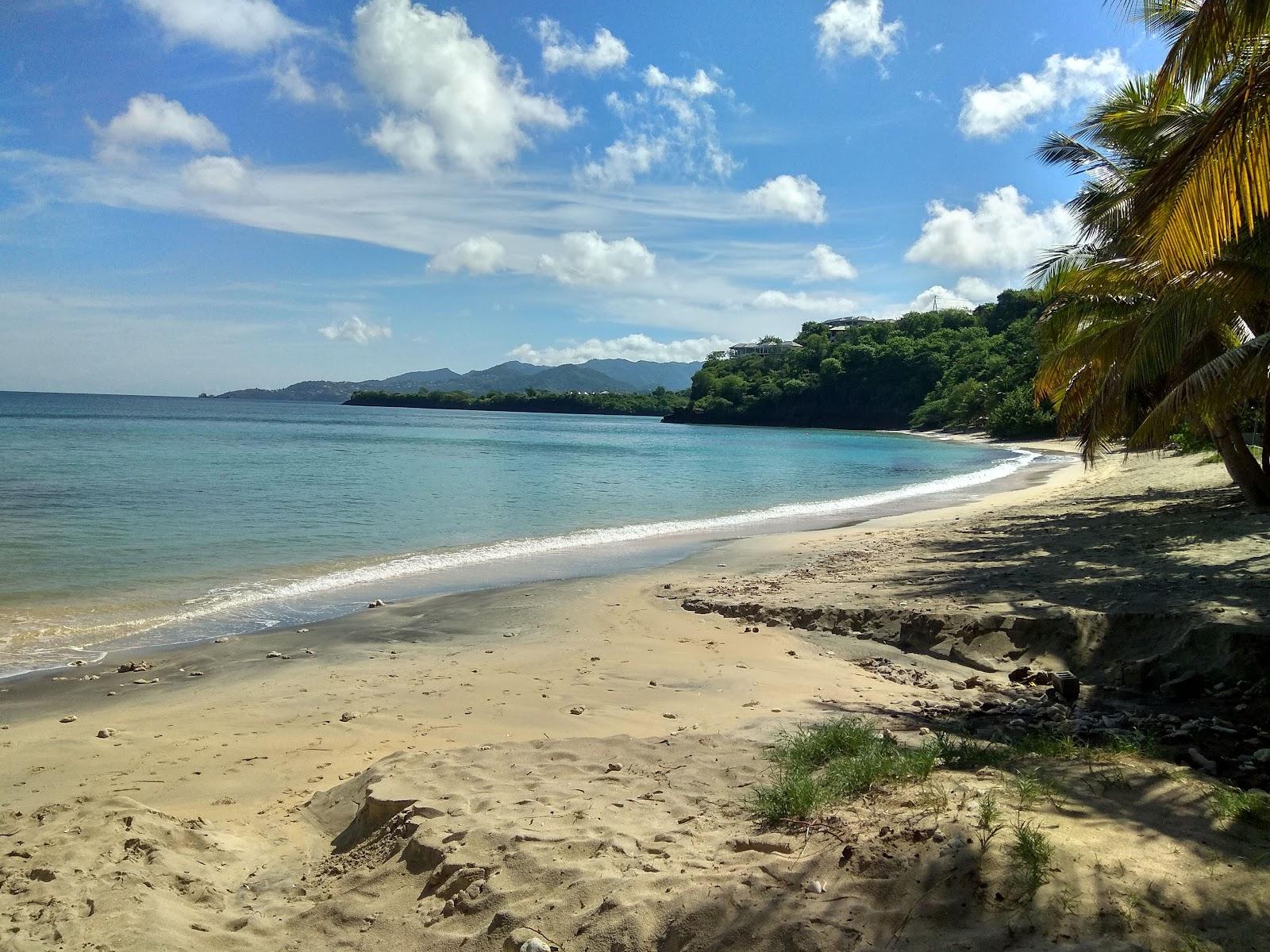 Sandee Portici Beach Photo