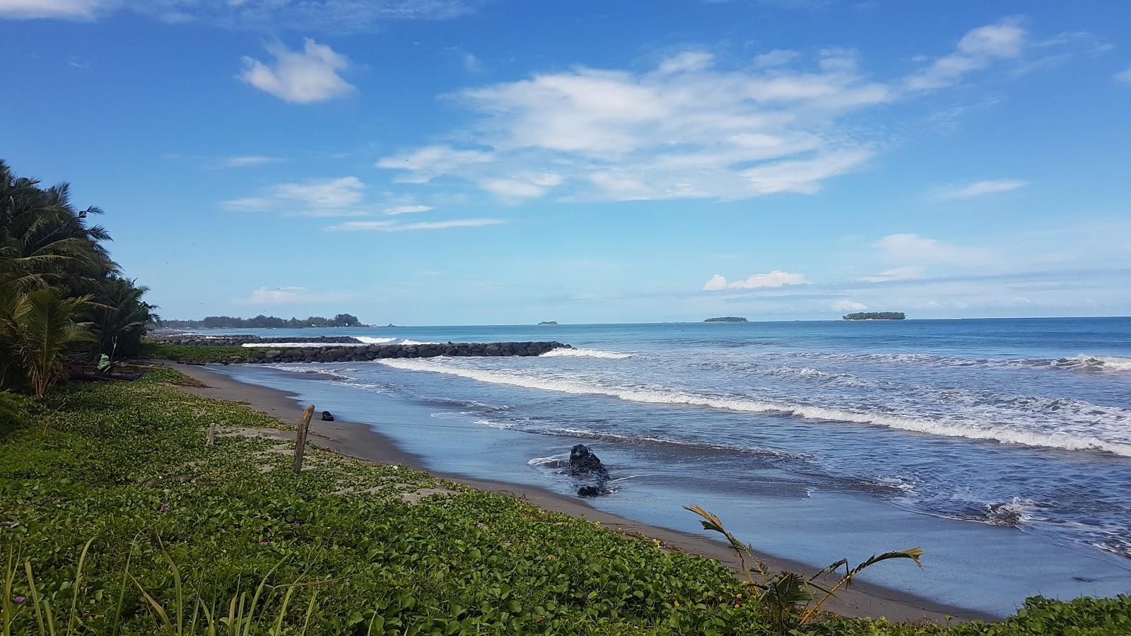 Sandee Konservasi Penyu Ampiang Parak