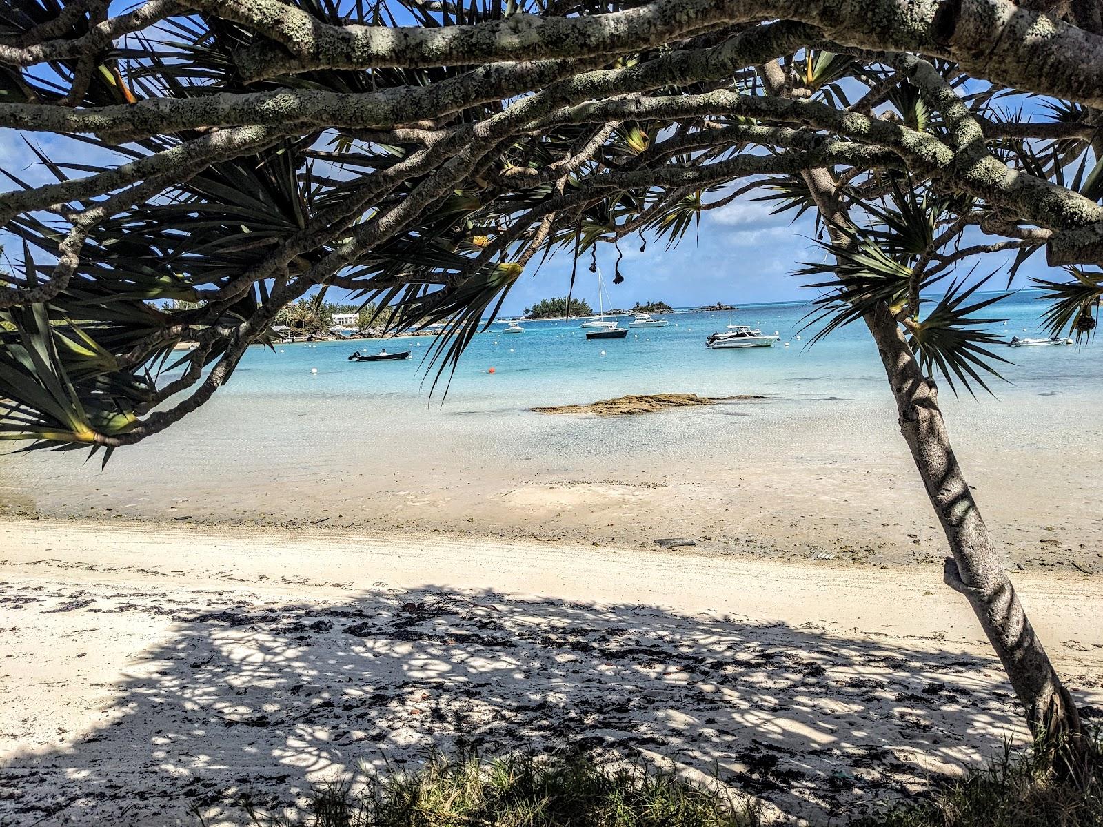 Sandee - Mangrove Bay National Park