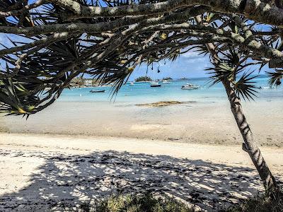 Sandee - Mangrove Bay National Park