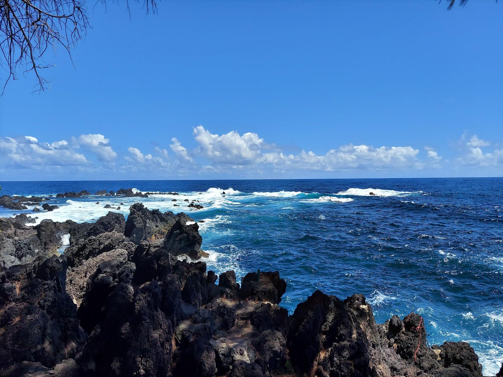 Sandee - Laupahoehoe Beach County Park