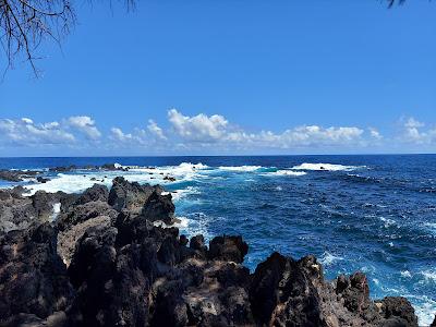 Sandee - Laupahoehoe Beach County Park