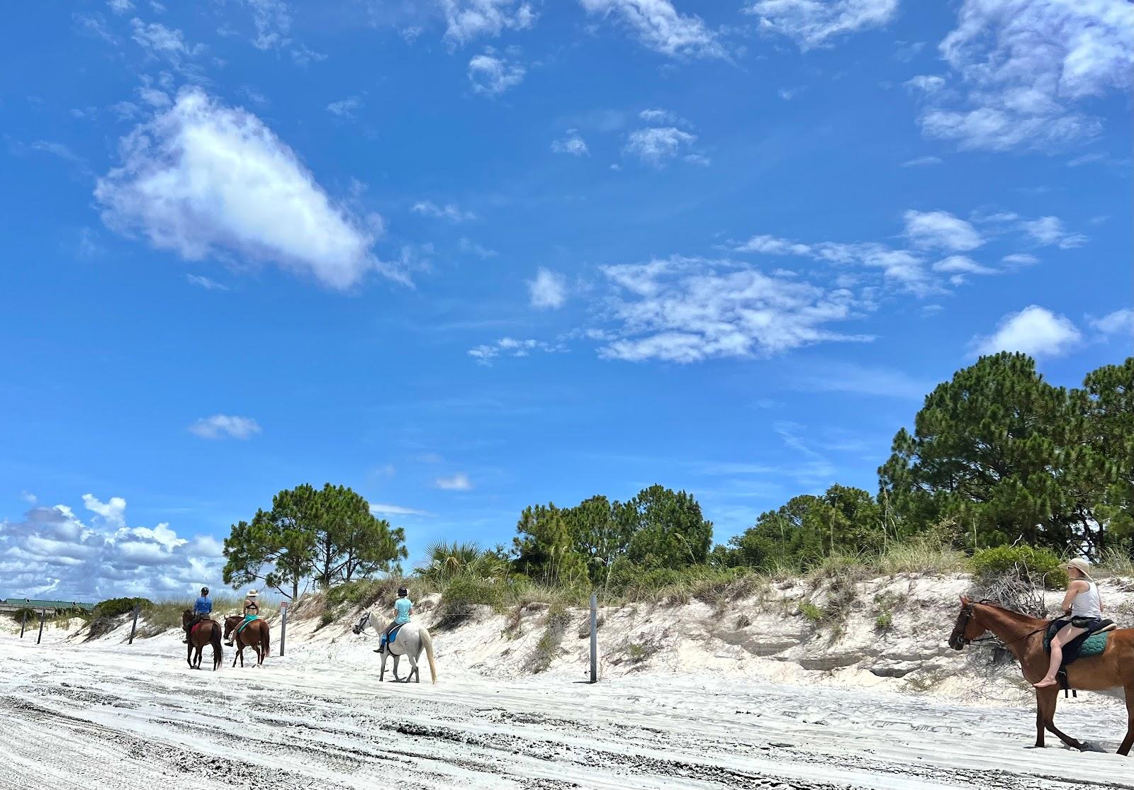 Sandee - Amelia Island State Park