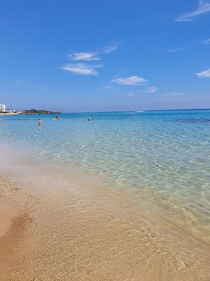 Sandee - Constantinos Beach