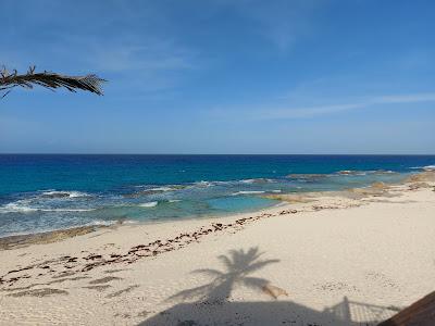 Sandee - Stella Maris Beach