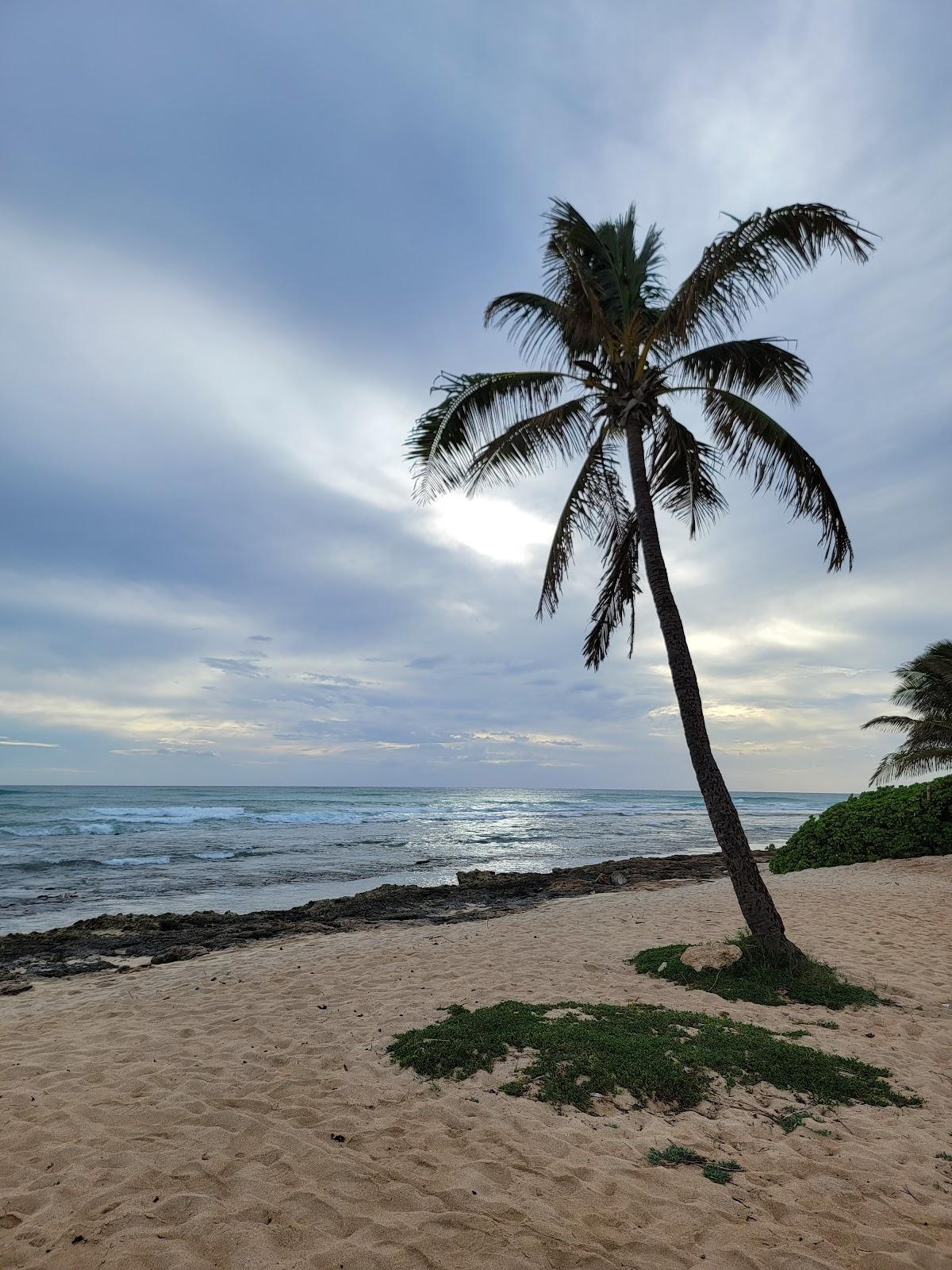 Sandee - Barbers Point Beach