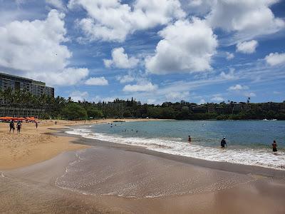 Sandee - Kalapaki Beach