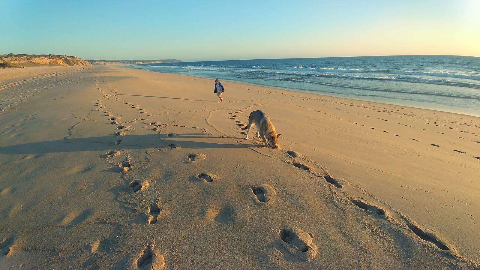 Sandee - Praia Naturista Da Tramagueira