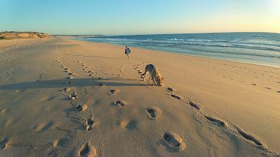 Sandee - Praia Naturista Da Tramagueira