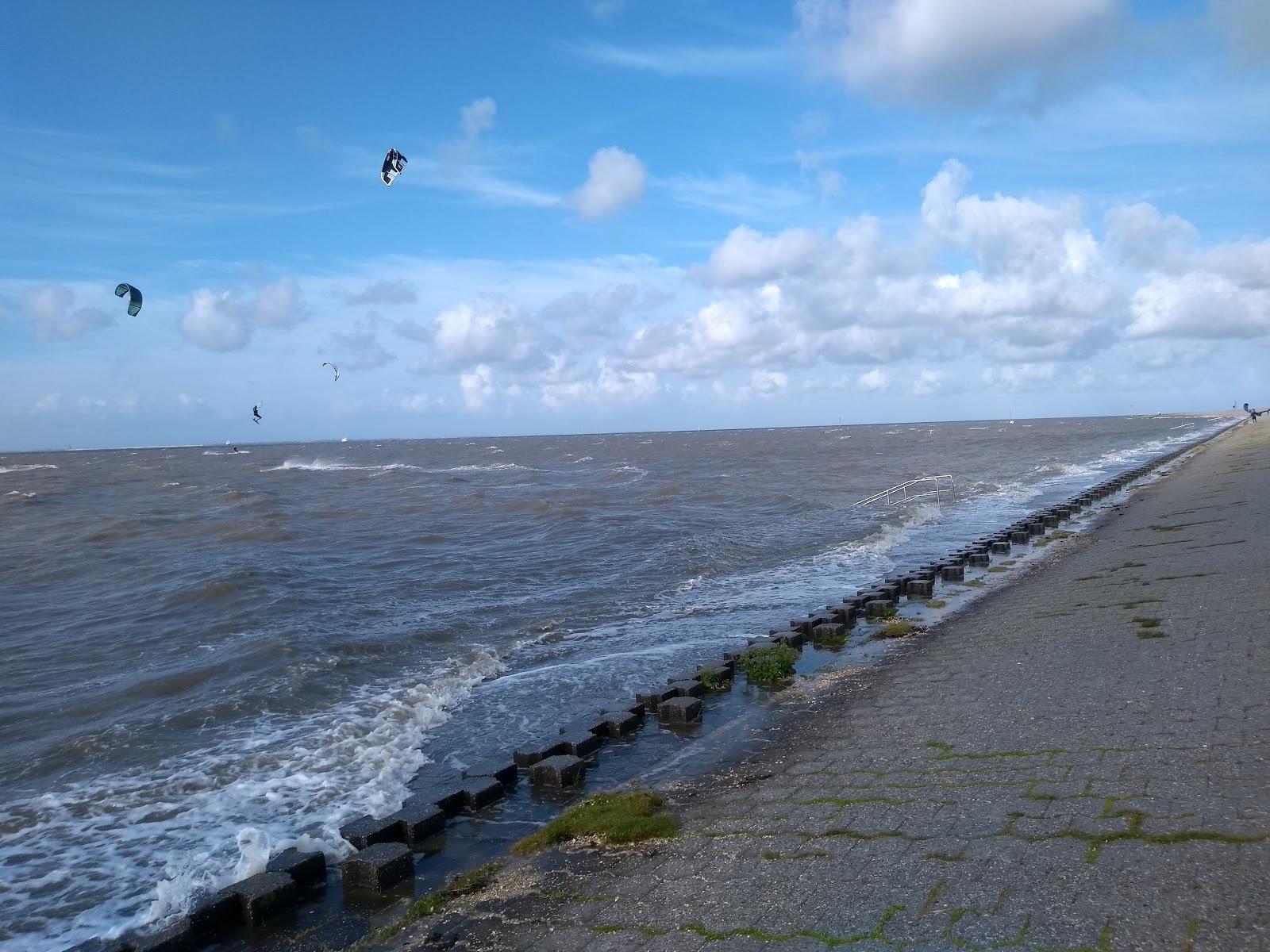 Sandee Hundestrand Carolinensiel Harlesiel Photo