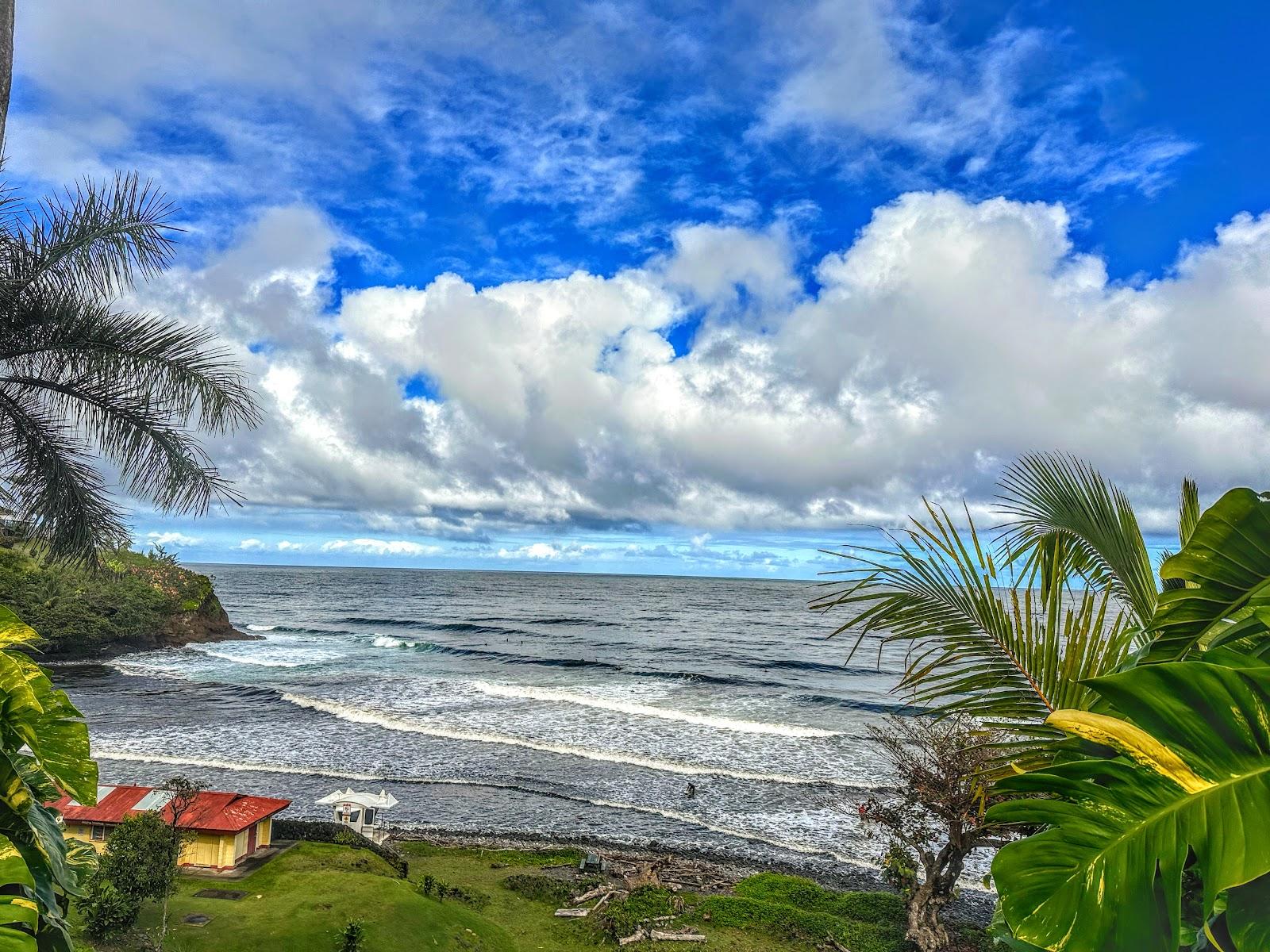 Sandee - Honoli'I Beach Park