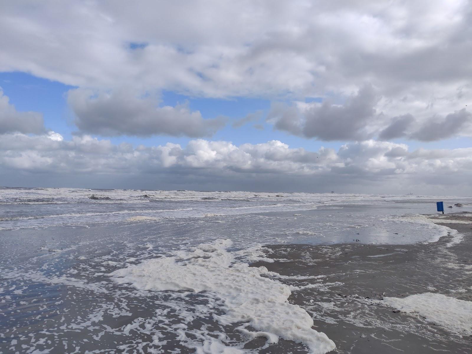 Sandee - T Strandhuys - Buren Ameland