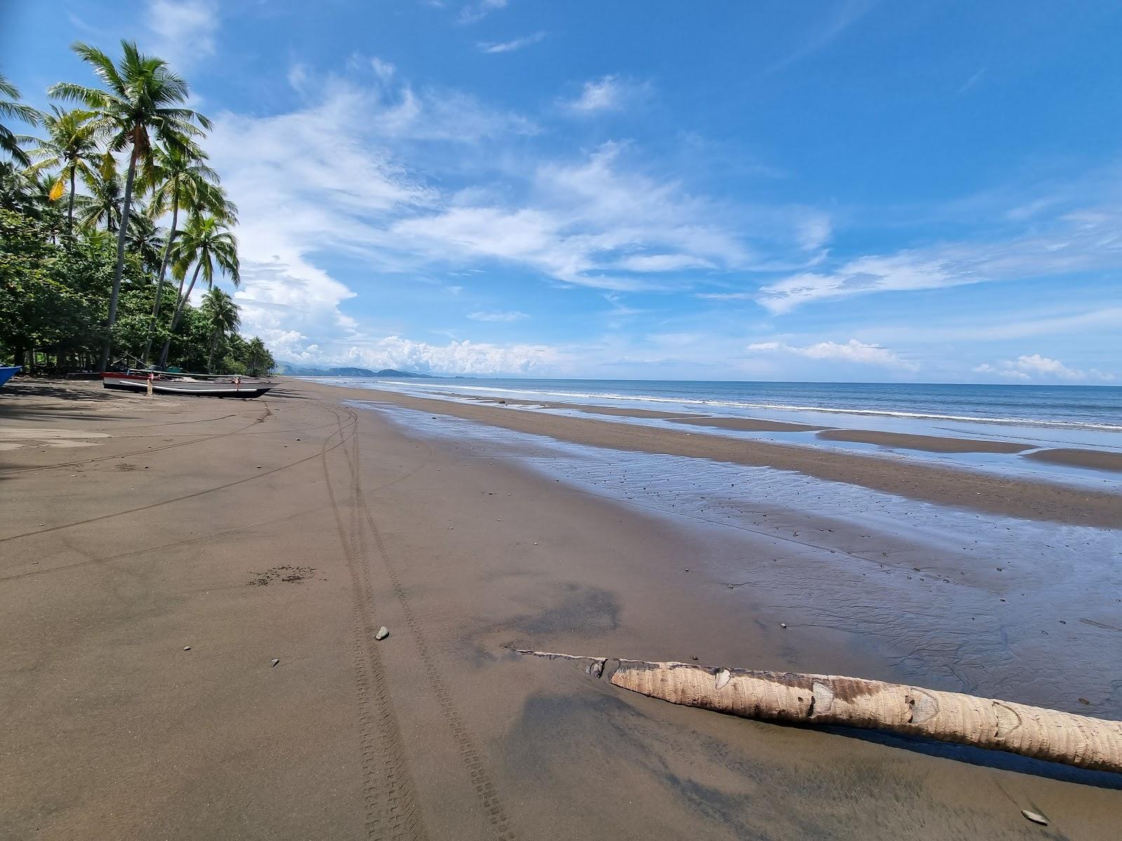 Sandee Pantai Lolan Photo