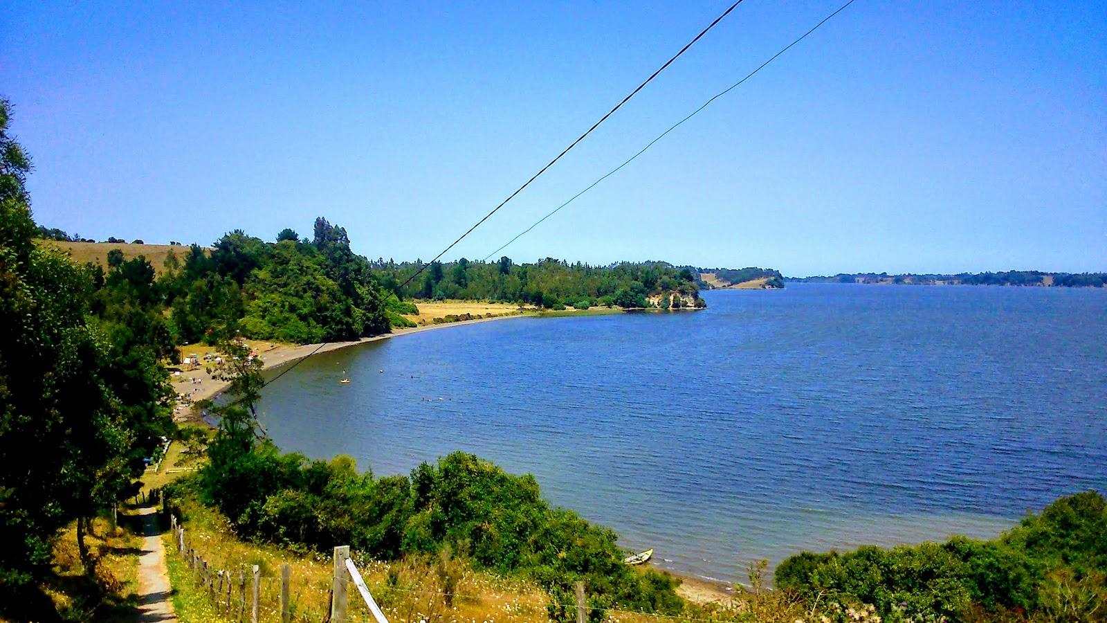 Sandee Playa Las Chasquillas