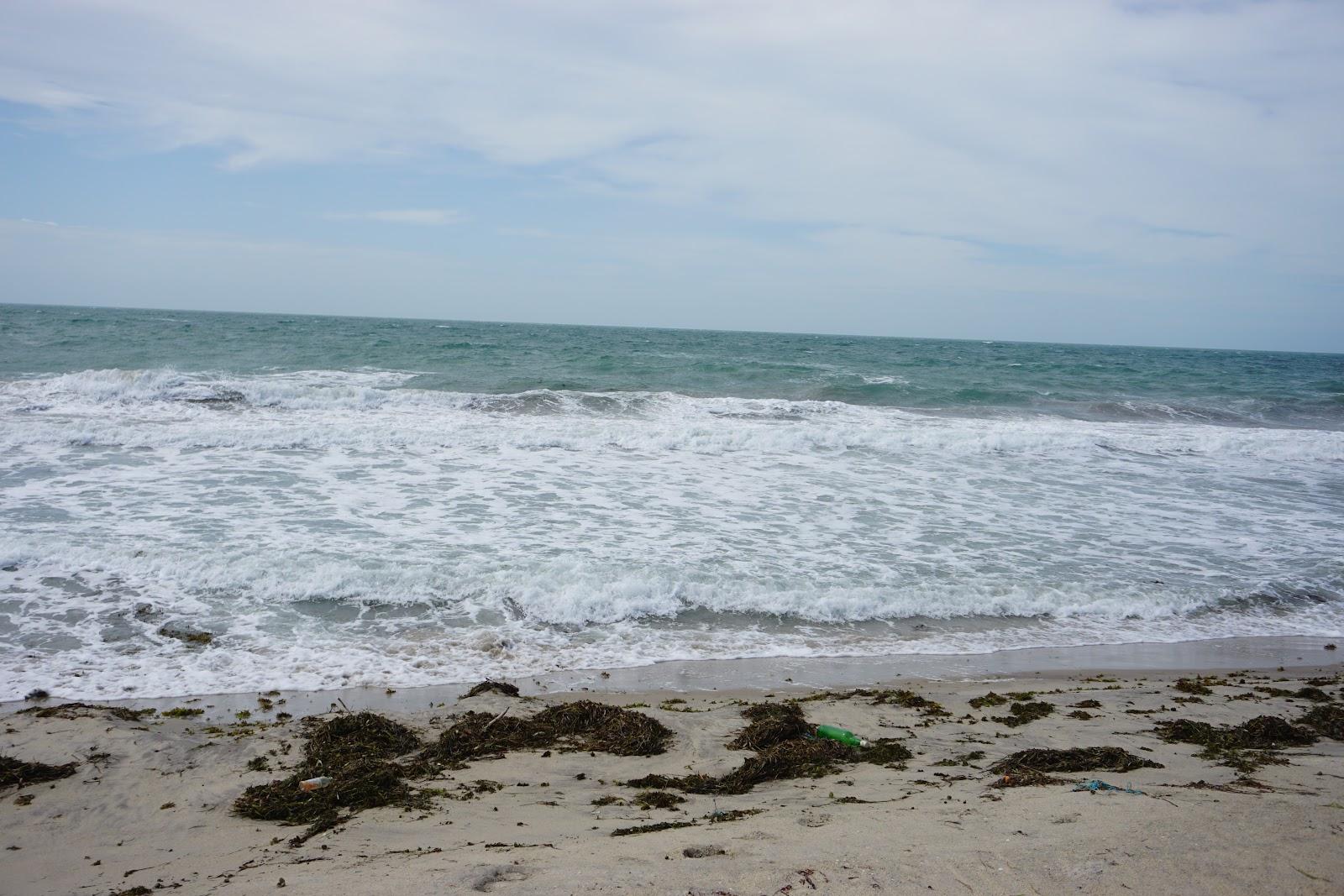 Sandee - Dhanushkodi Tail Beach