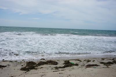 Sandee - Dhanushkodi Tail Beach