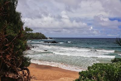 Sandee - Koki Beach Park