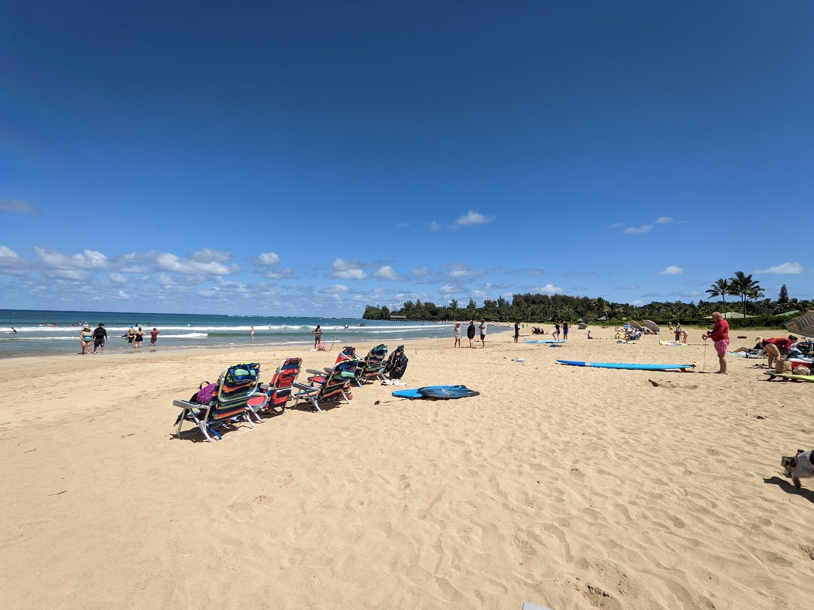 Sandee - Hanalei Beach