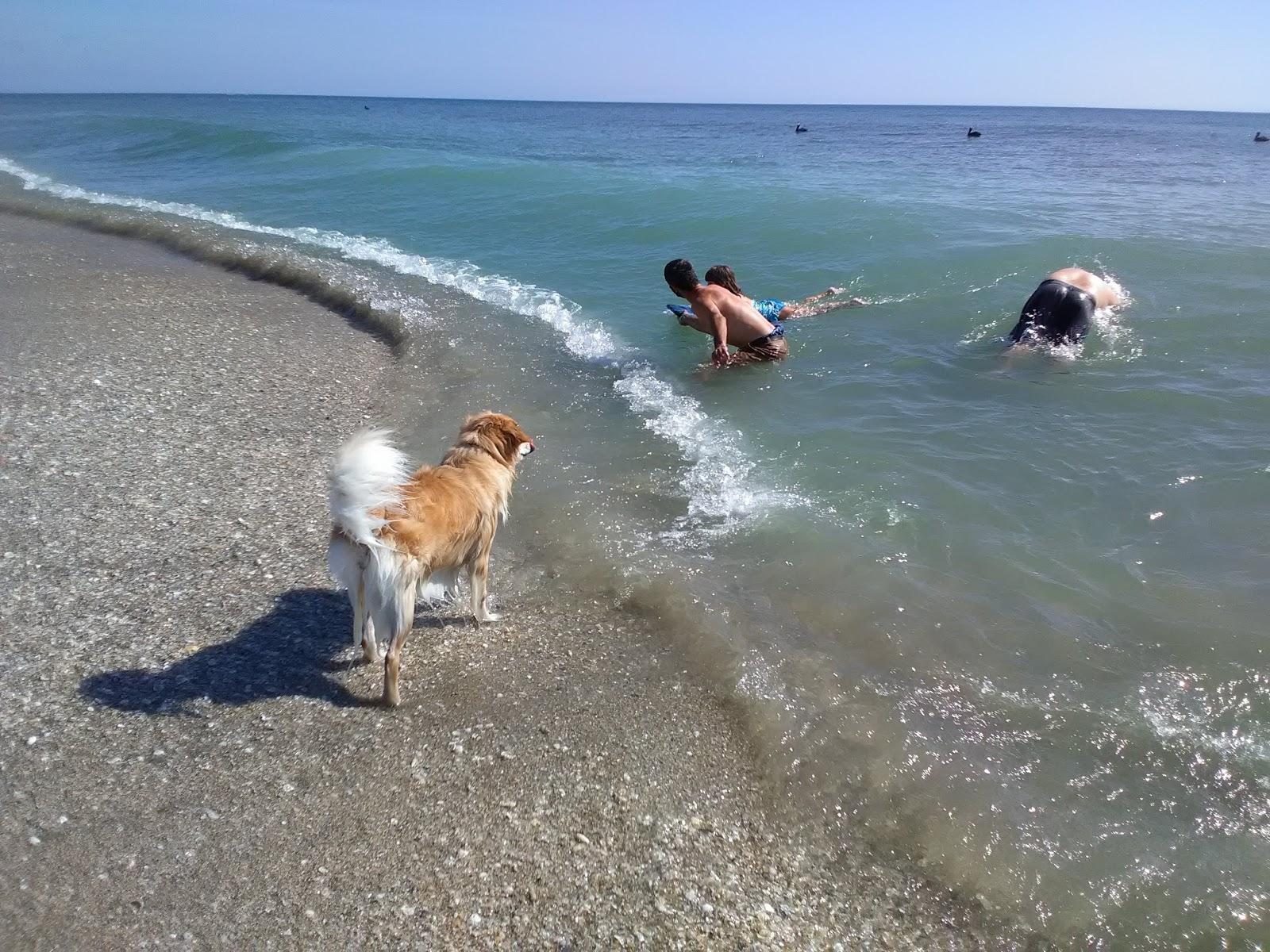 Sandee - Tiger Shores Beach