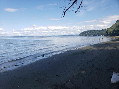 Sandee - Dash Point Beach