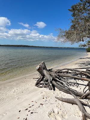 Sandee - Mobbly Bayou Beach Park