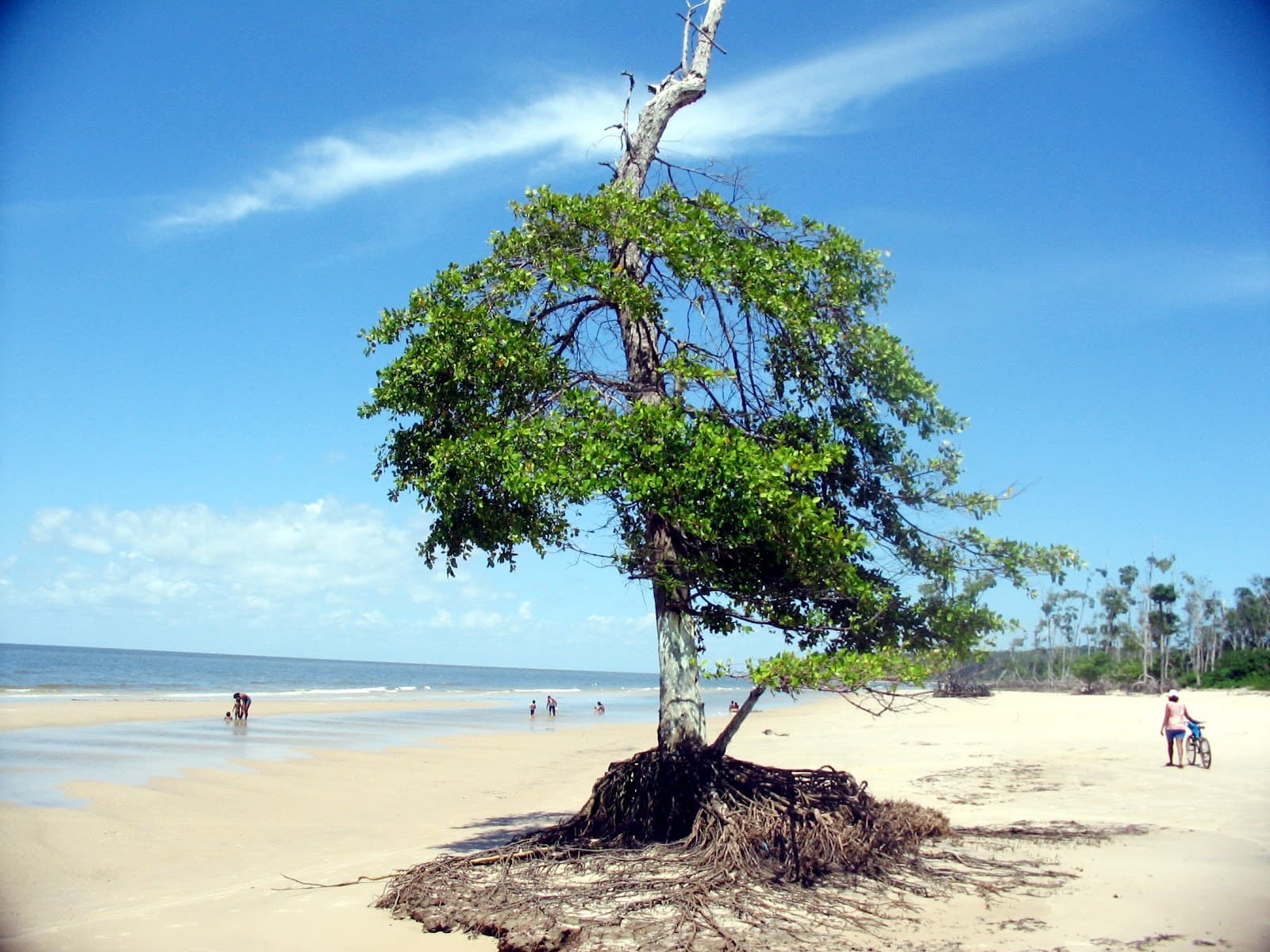 Sandee Praia Do Araruna Photo