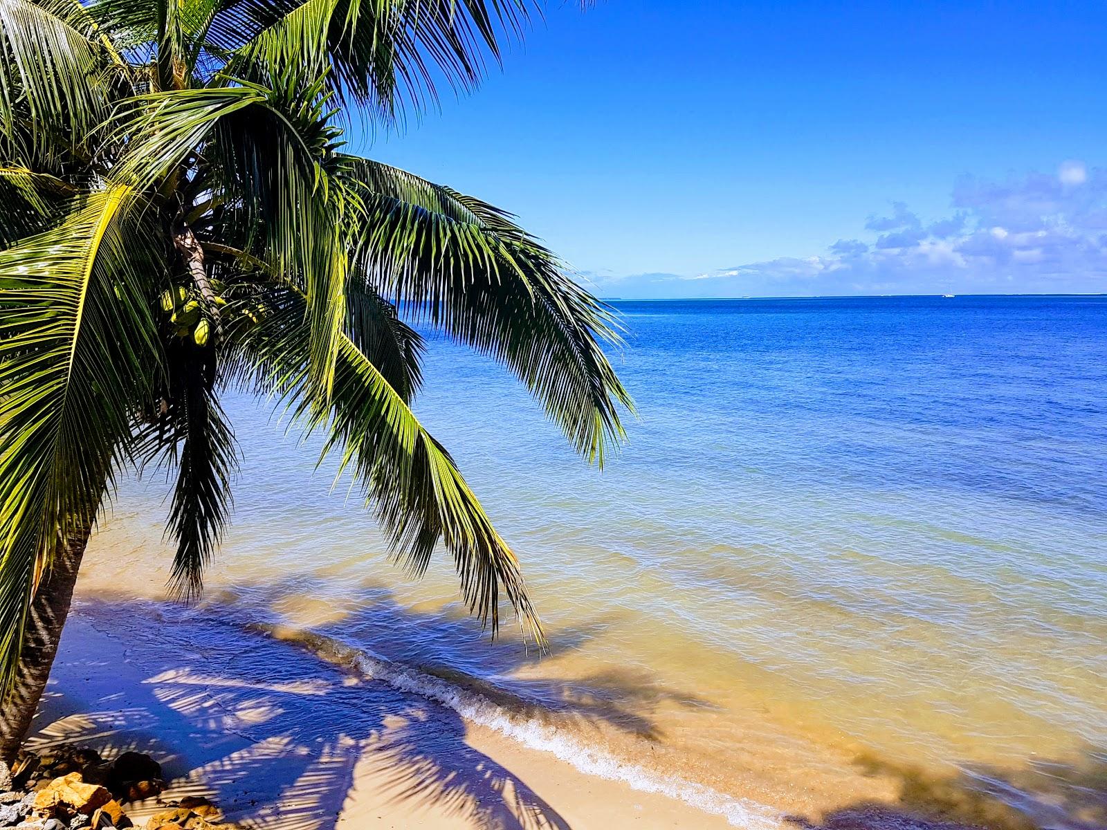 Sandee Funky Fish Beach & Surf Resort