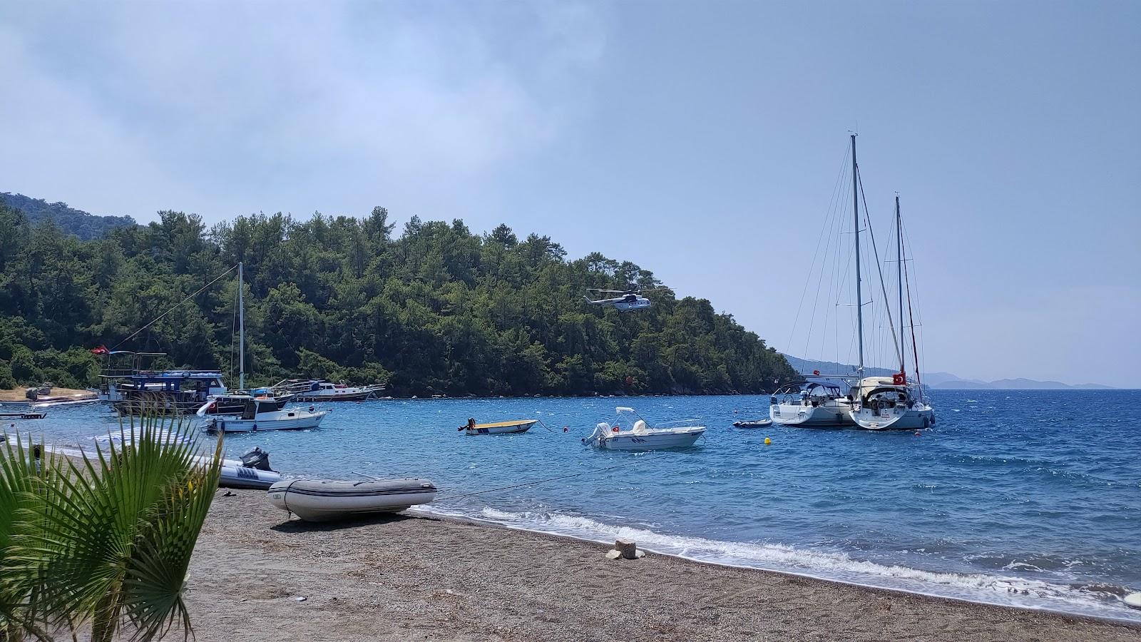 Sandee Iliman Restoran Camping Beach