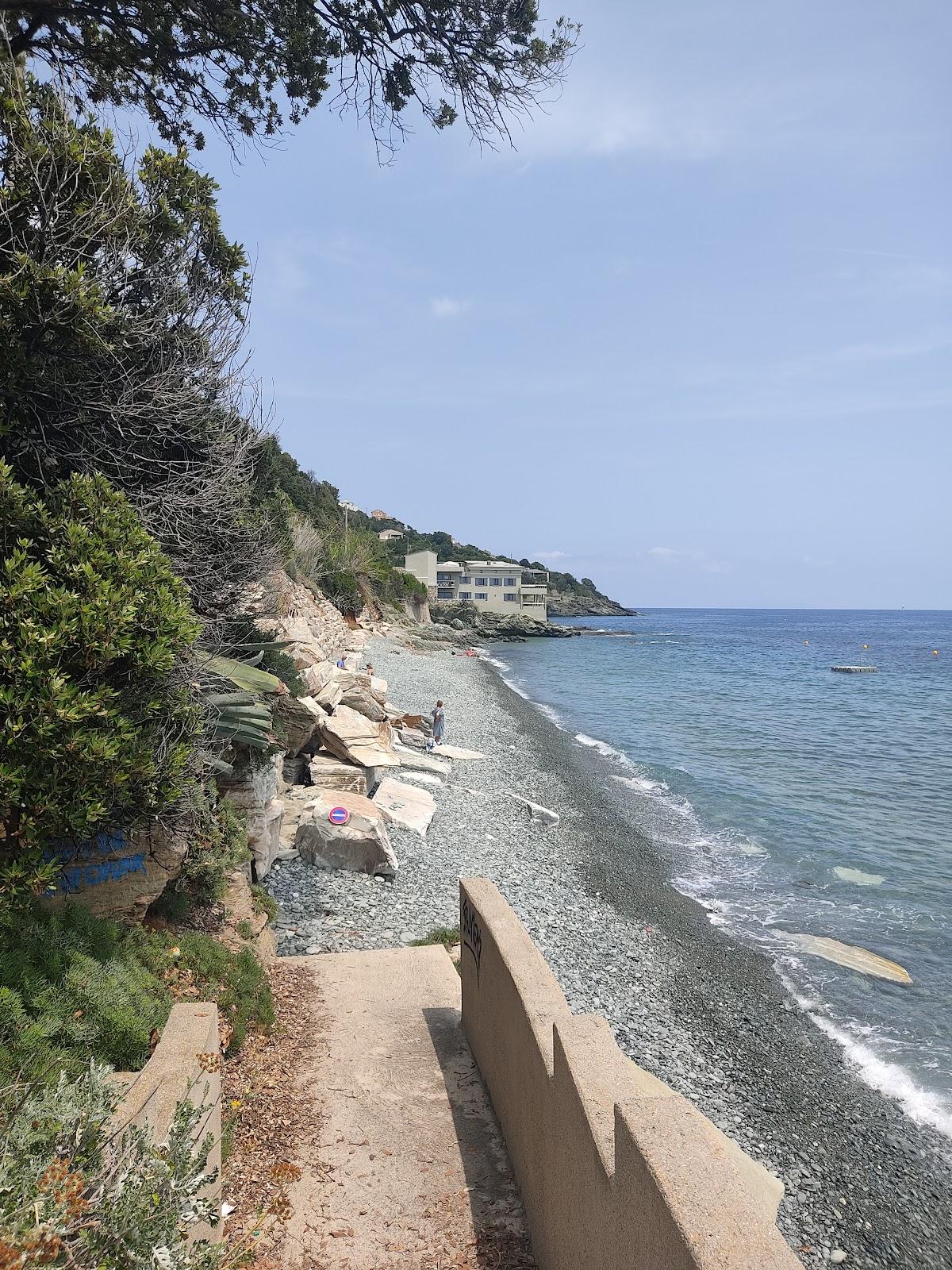 Sandee Plage D'Erbalunga Photo