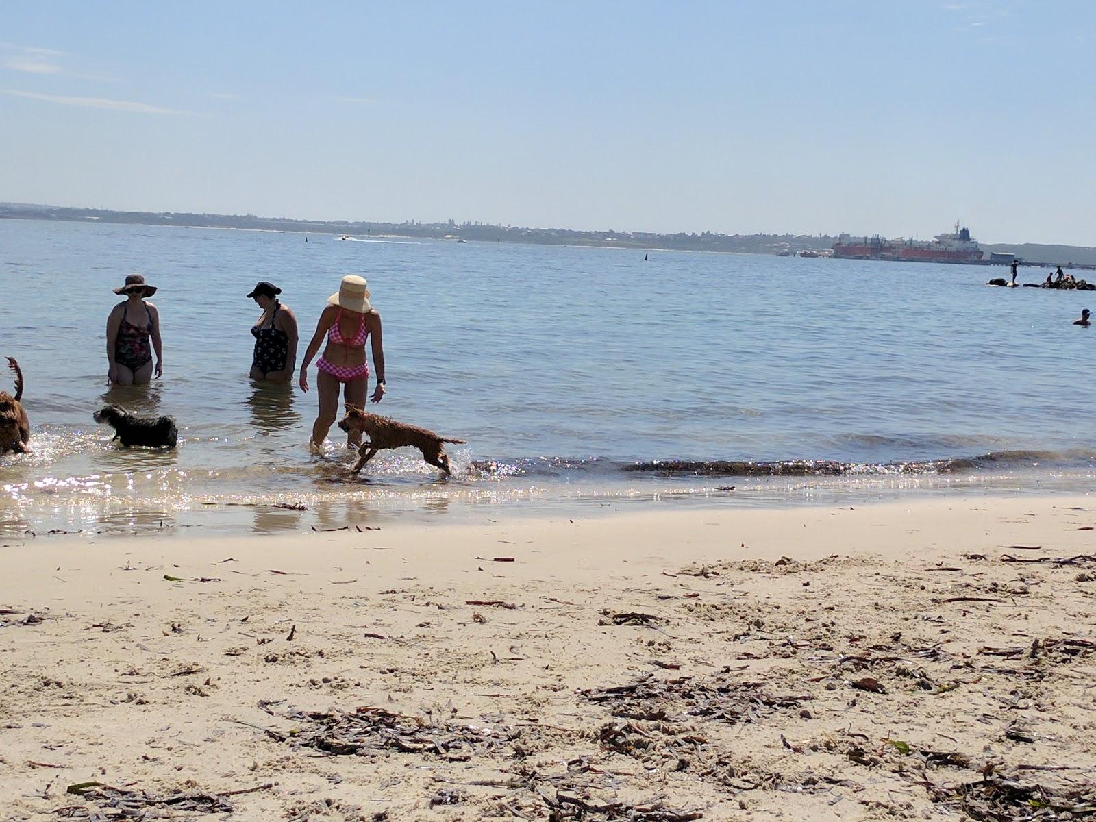 Sandee Kurnell Dog Beach