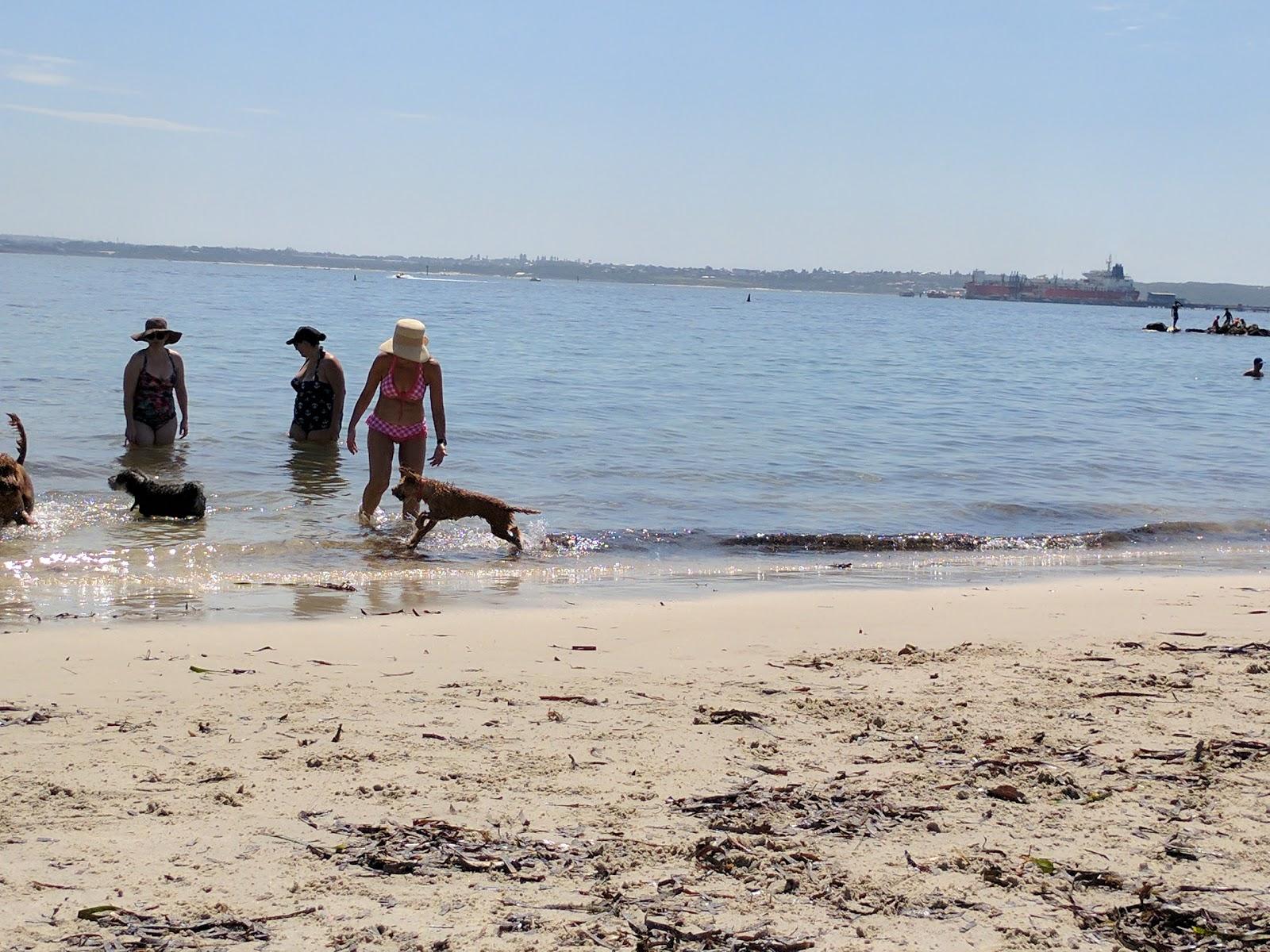 Sandee Kurnell Dog Beach Photo