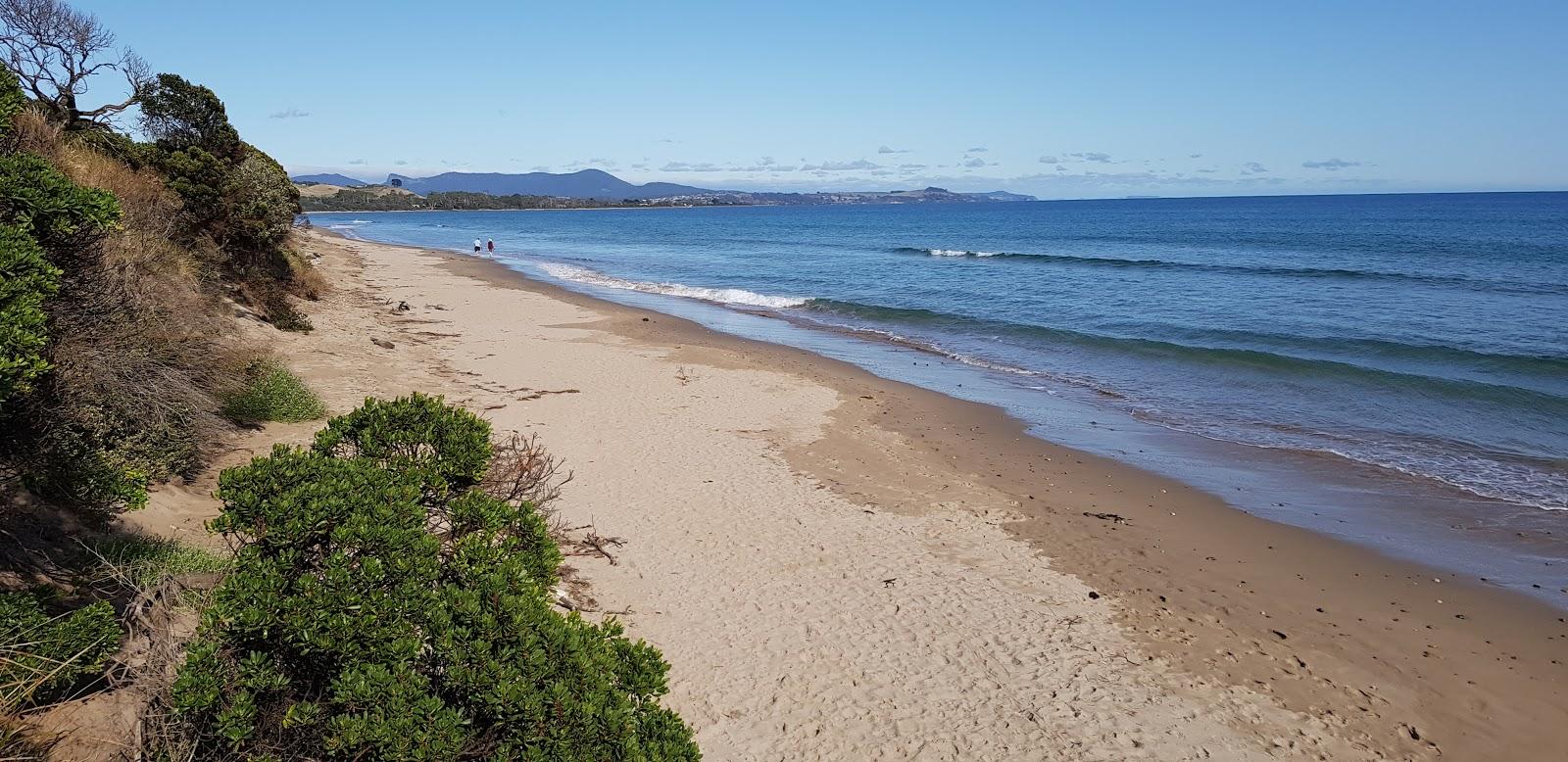 Sandee Turners Beach