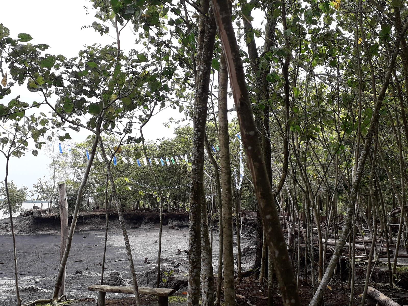 Sandee Pantai Bani