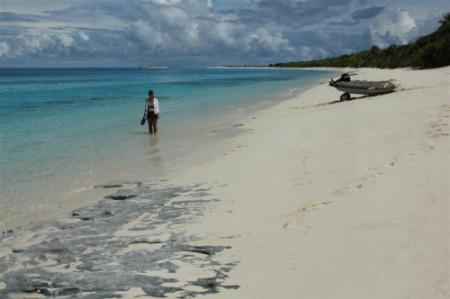 Sandee - HomePage / Rongerik Atoll