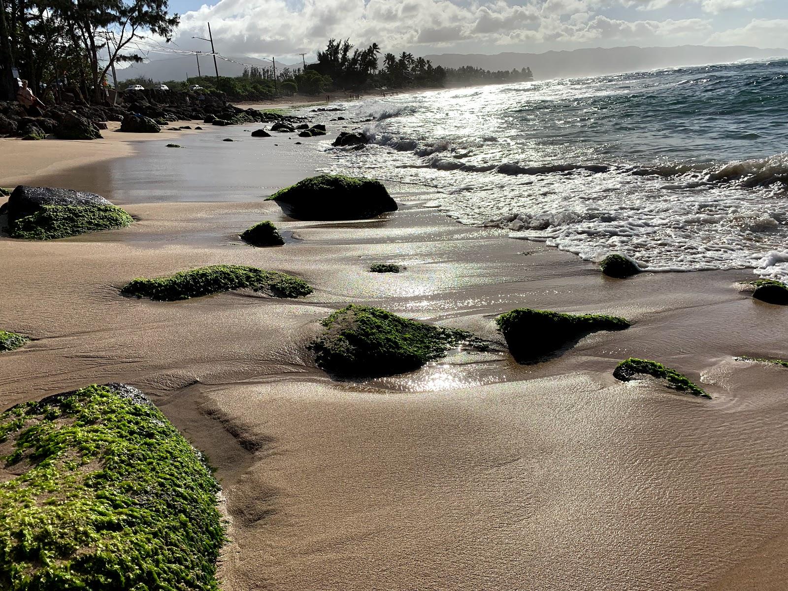 Sandee - Kawailoa Beach