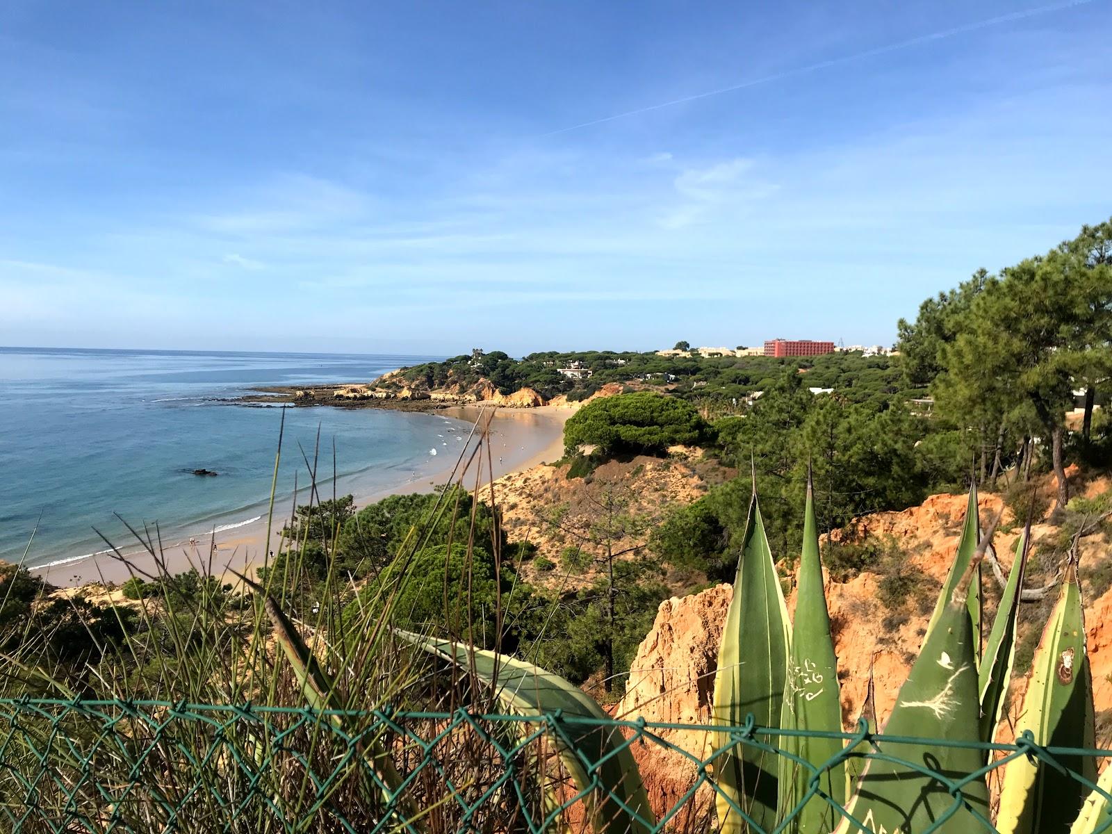 Sandee - Praia Da Balaia