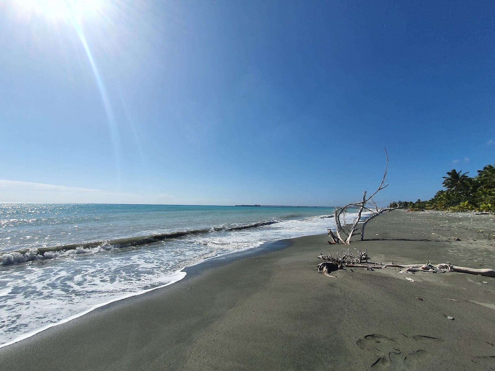 Sandee Playa Nizao