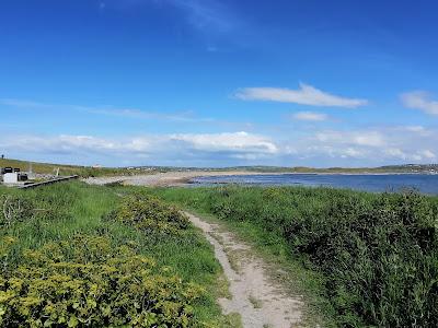 Sandee - Kilmacreehy Beach