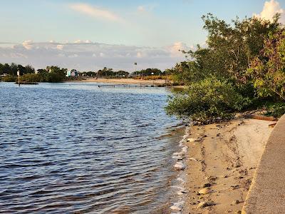 Sandee - Davis Islands Beach