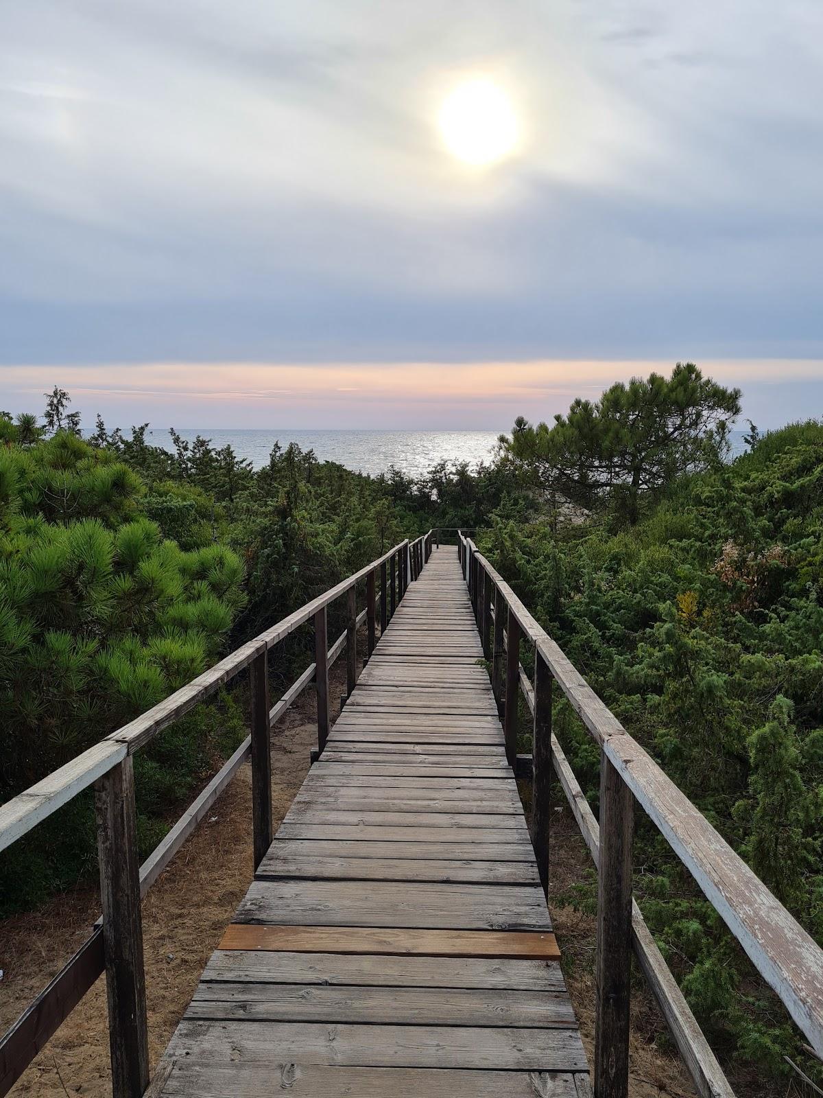 Sandee - Spiaggia Libera Lungomare Di Sabaudia