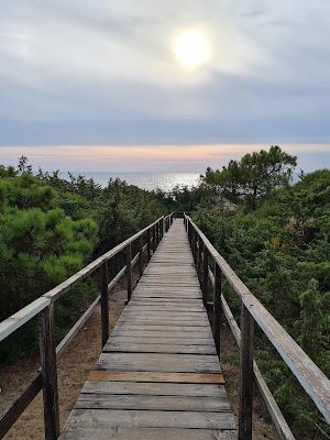 Sandee - Spiaggia Libera Lungomare Di Sabaudia