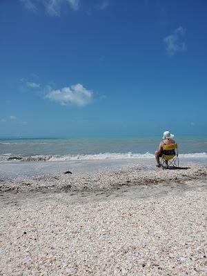 Sandee - Gulfside City Park Beach