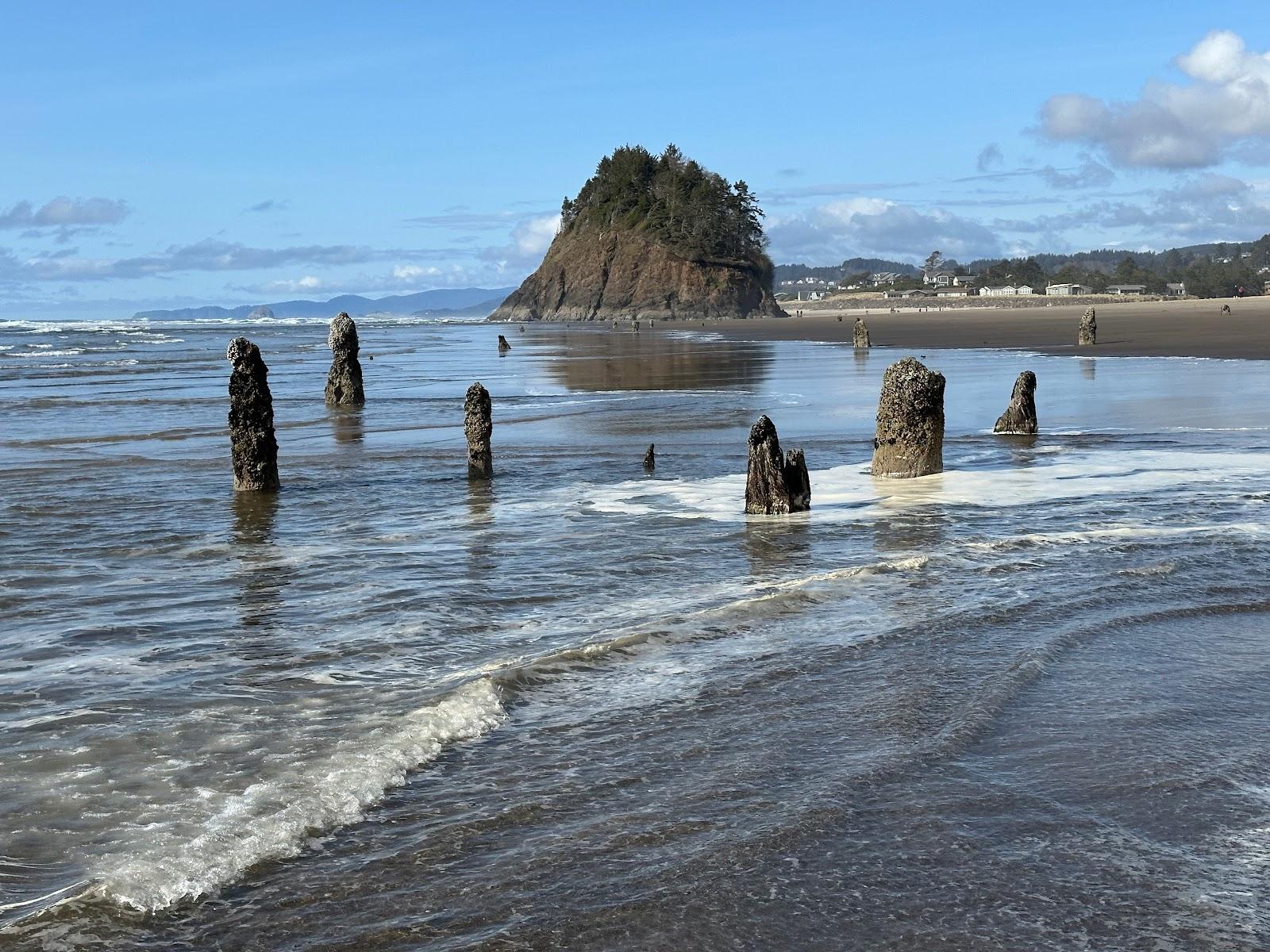 Sandee - Neskowin Ghost Forest