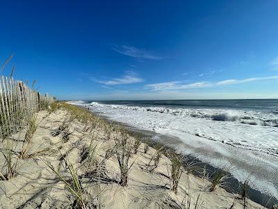 Sandee - Delaware Seashore State Park