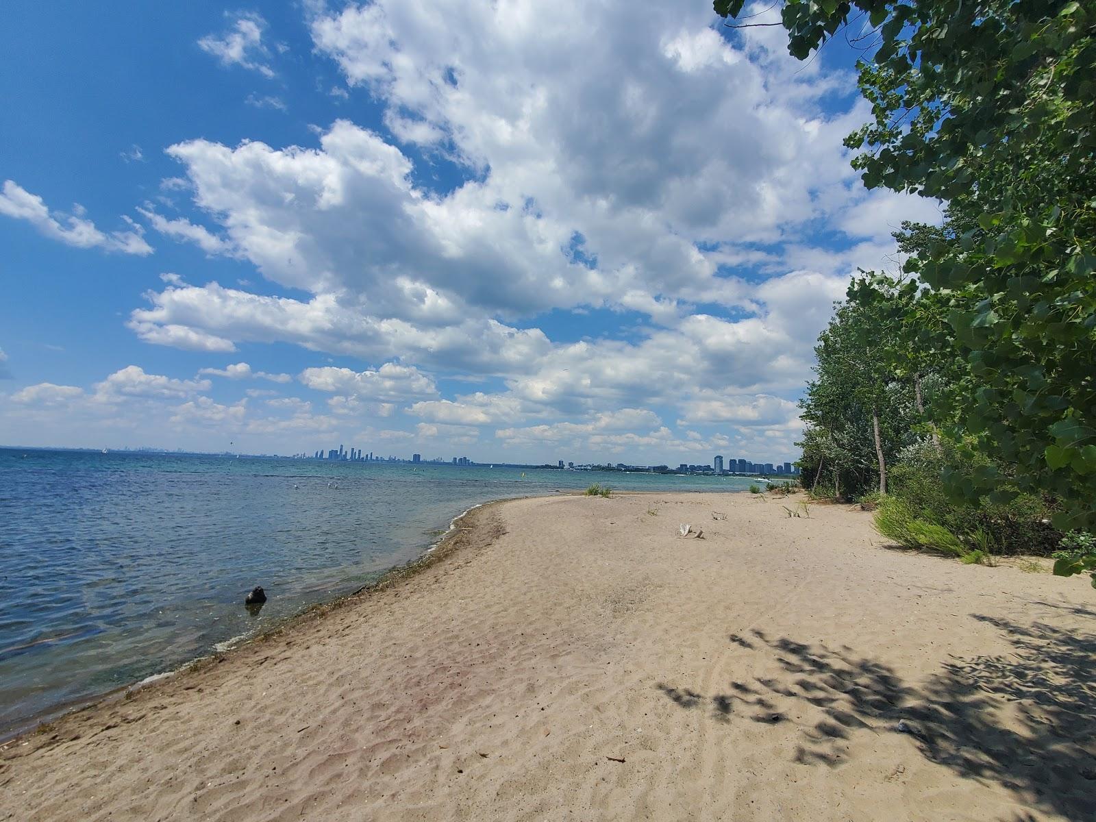 Sandee - Hanlan's Point Beach